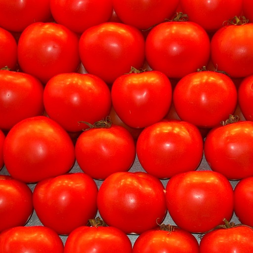 Le rivolte degli agricoltori sbagliano il bersaglio